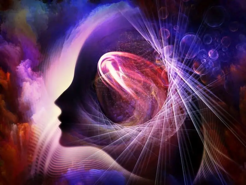 What Part of the Brain Controls Spirituality?